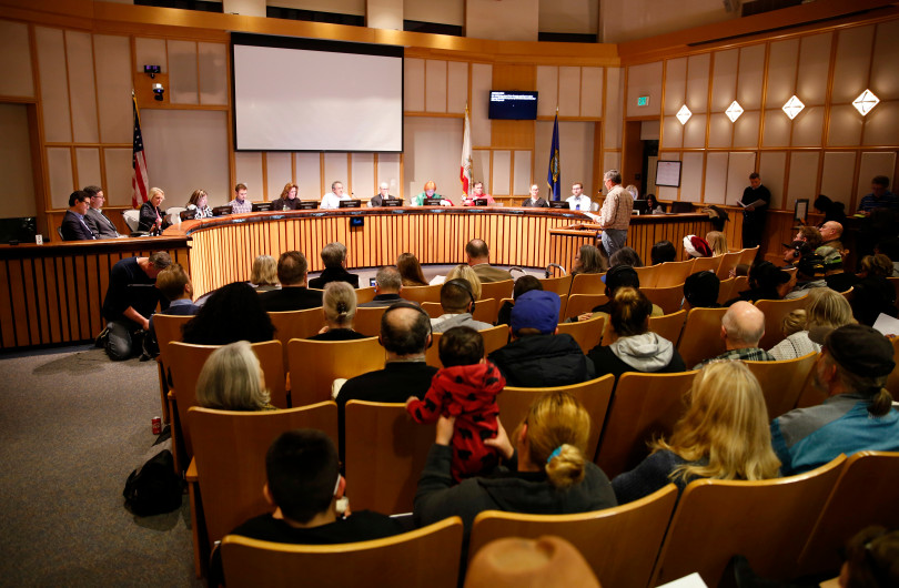 Mountain View City Council